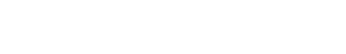 Neue ZĂĽrcher Zeitung Logo